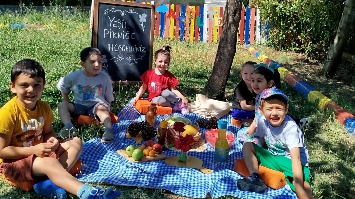 Yeşil Piknik Etkinliği